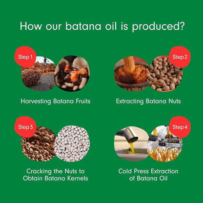 Essense Batana Elixir